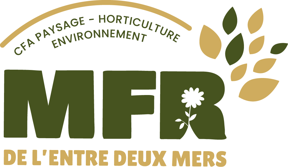 small Logo